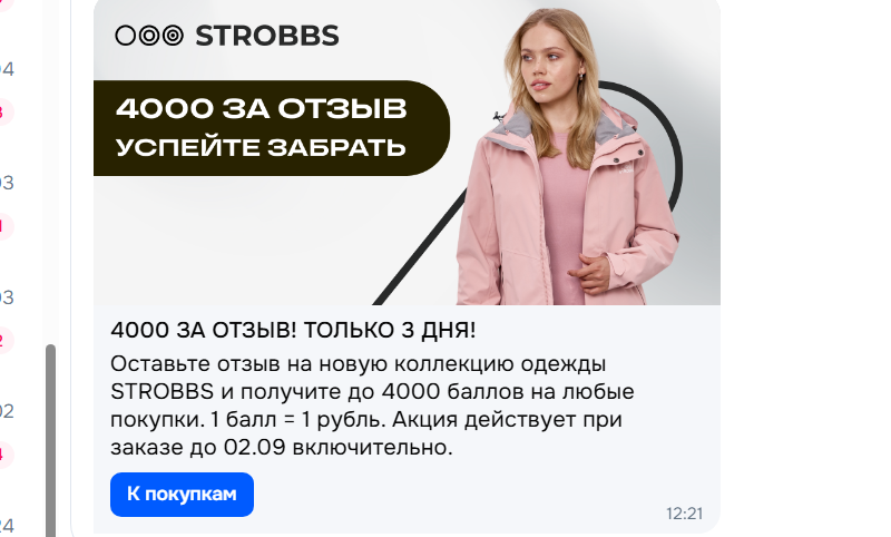 пример запроса отзывы за баллы