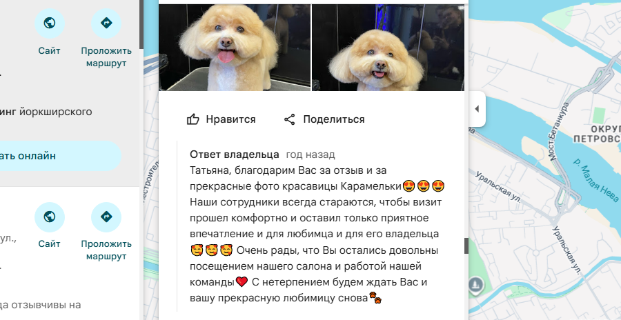 ответ на отзыв о груминге